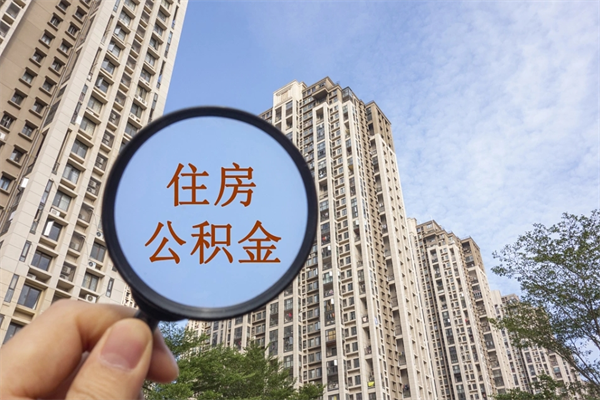 公积金还看征信吗吗_南县公积金代办在职离职封存服务